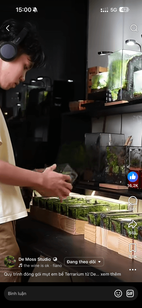 terarium