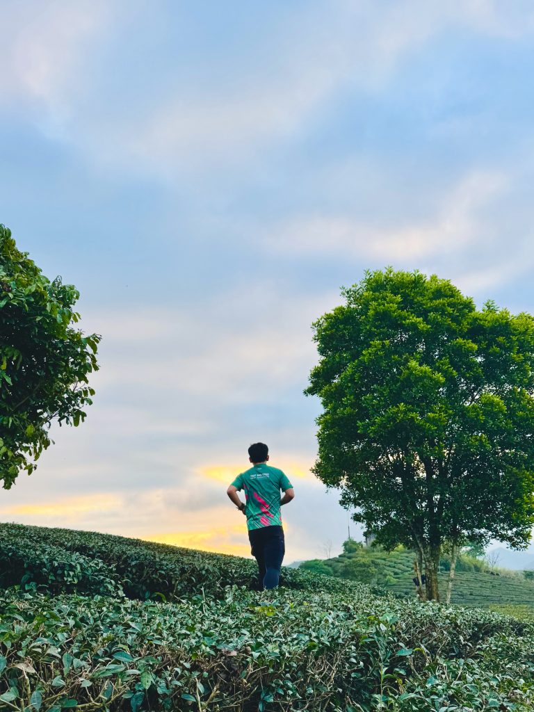Không ai kéo mặt trời lên cả.
