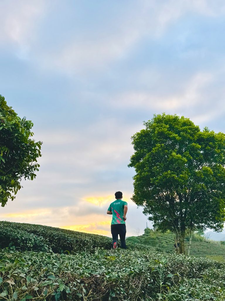 Không ai kéo mặt trời lên cả.