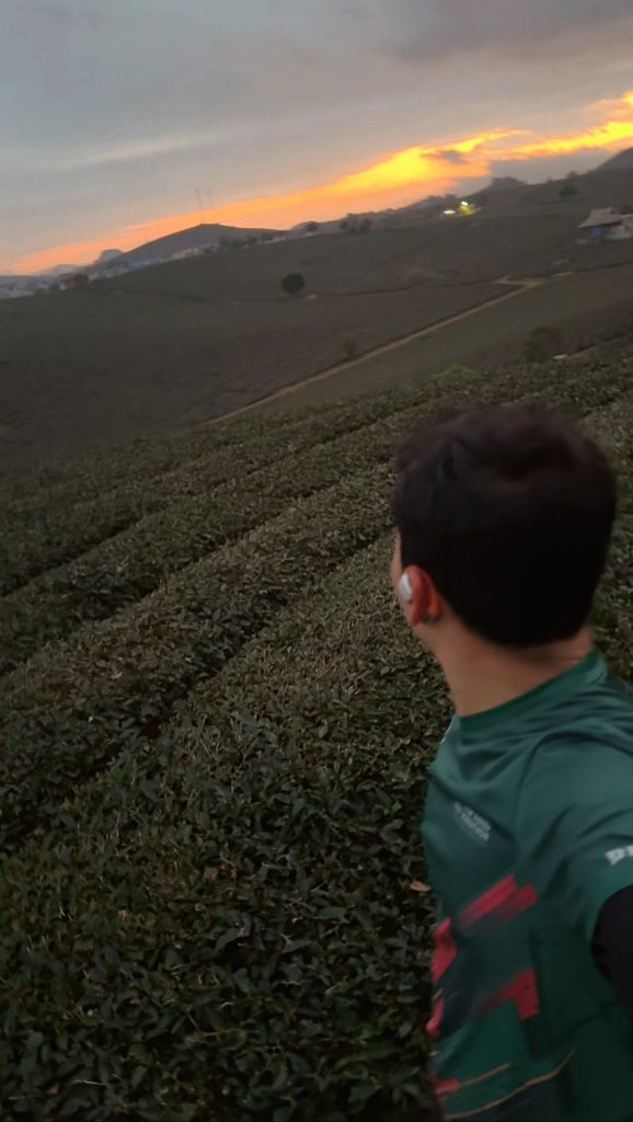 5 giờ sáng trên đồi chè